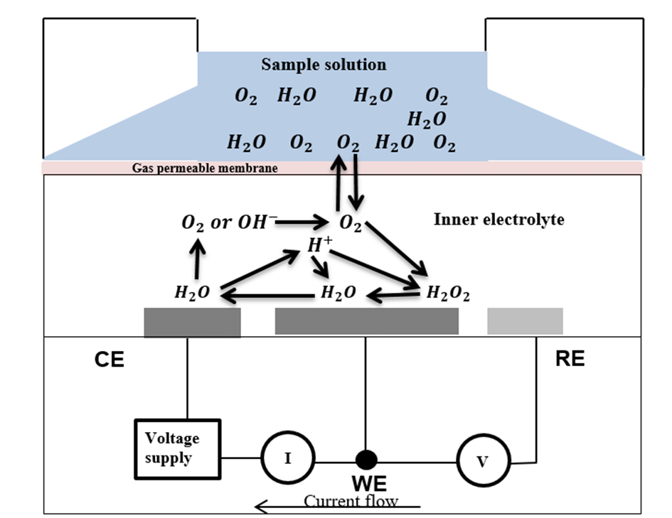 EC Sensor with membrane._photo